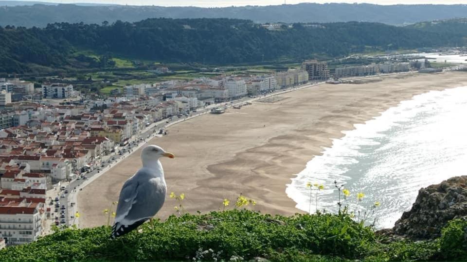 West Coast Dream Nazare Villa ภายนอก รูปภาพ